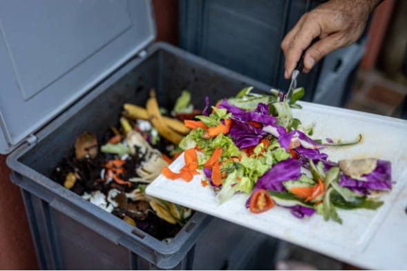 Food Waste Bins