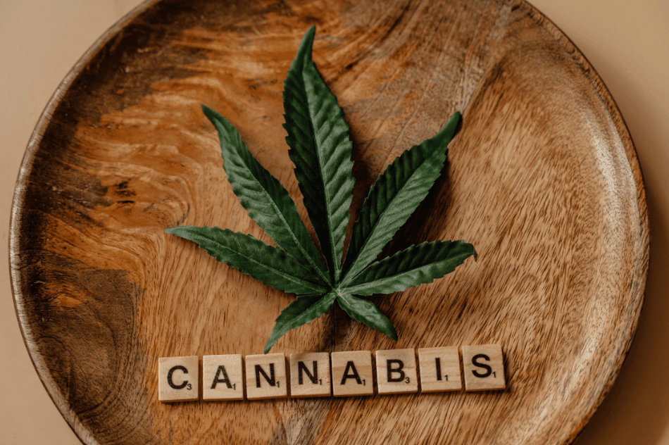 How UK Cannabis Clinics Are Driving Digital Health Innovation