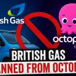 british gas ban octopus
