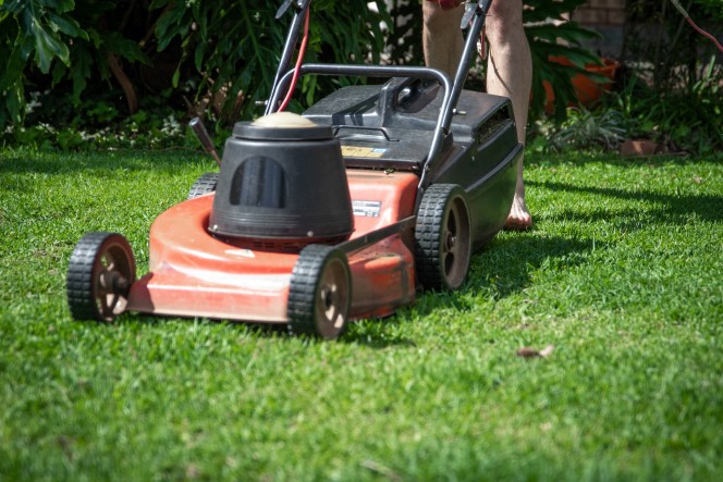 Lawn Care & Garden Maintenance