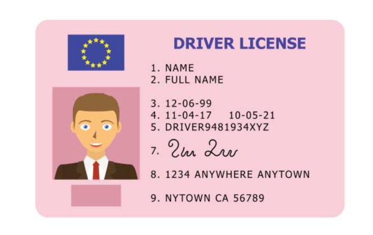 What is operator licence revocation