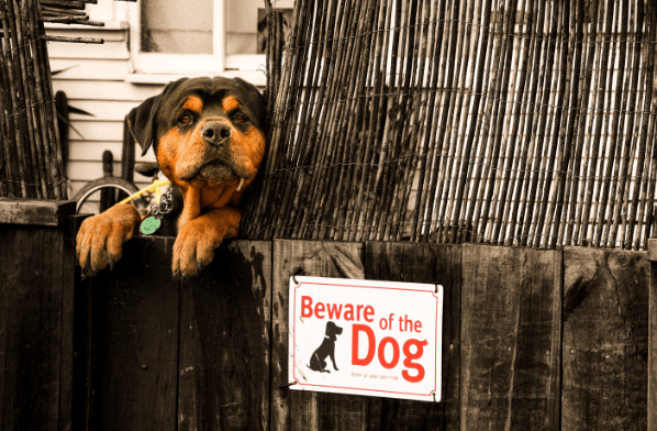 What steps resolve a Royal Mail dog hazard suspension