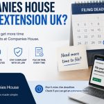 Companies House Filing Extension
